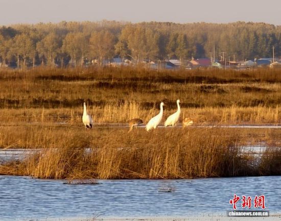 ؚwQȺġС()˰QȺwr z