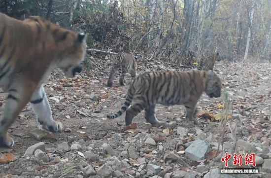 2025ږ|(gu)ҹ@ĔzĖ|(ҕýD)